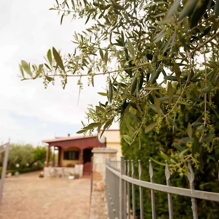 Mario Σπίτι διακοπών Mottola