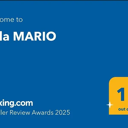 Mario 펜션 *